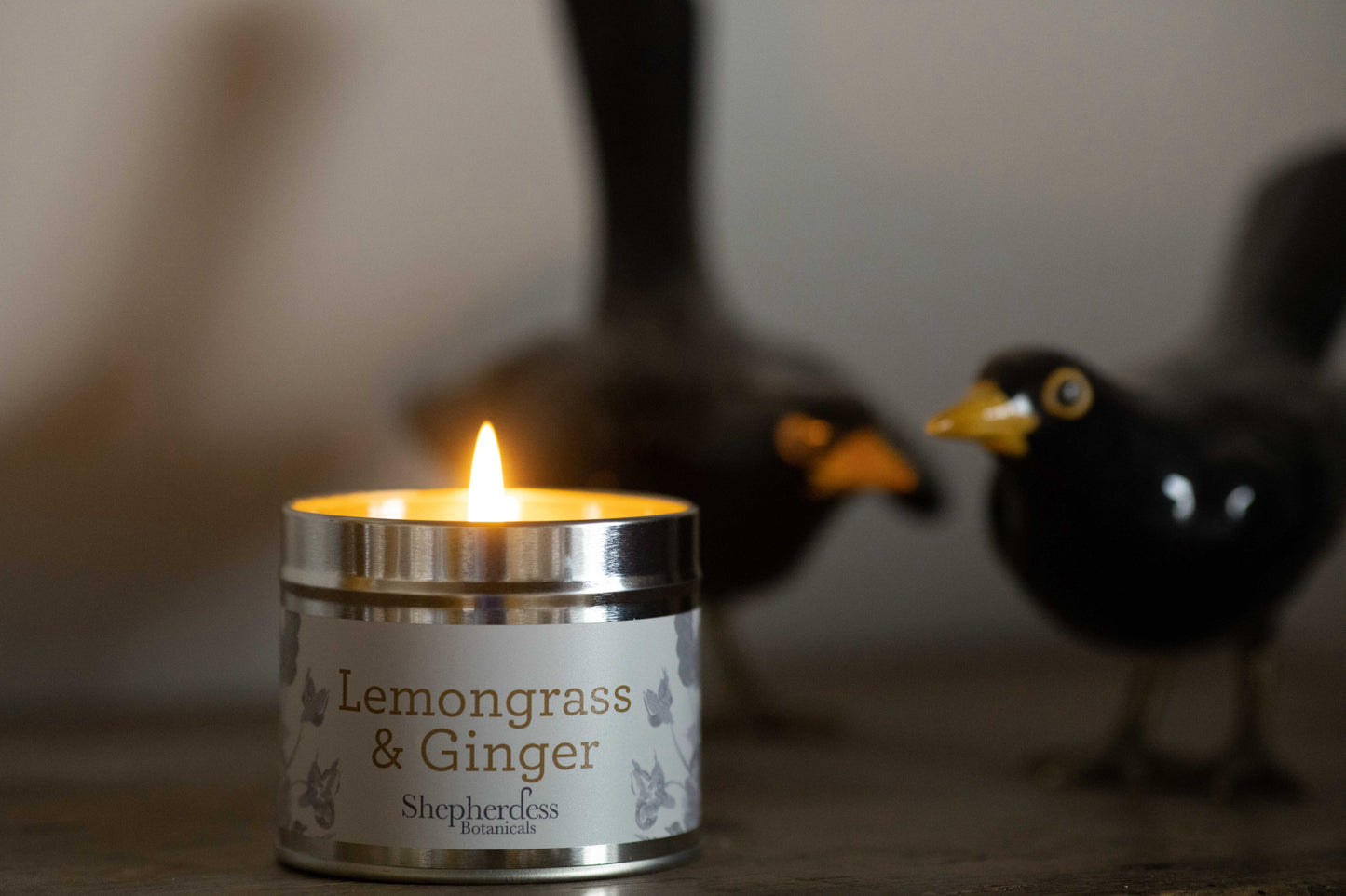 Lemongrass & Ginger Tin Candle