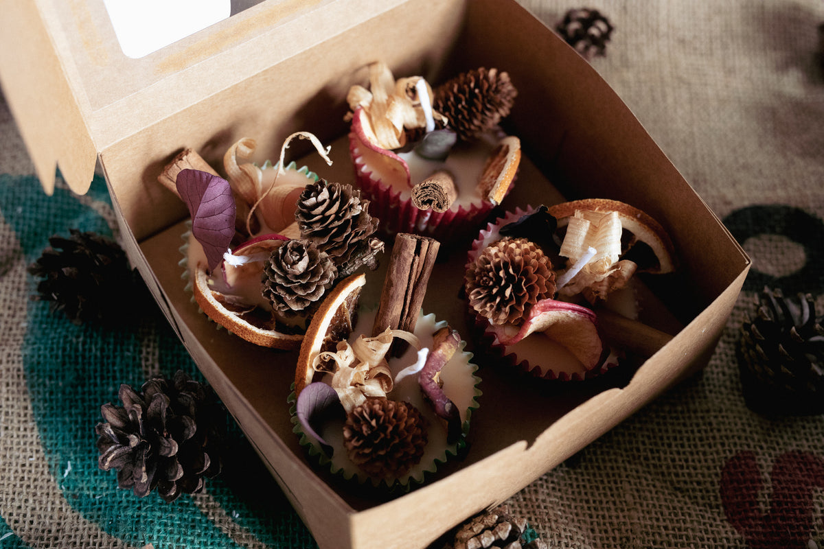 Botanical Fire Starters